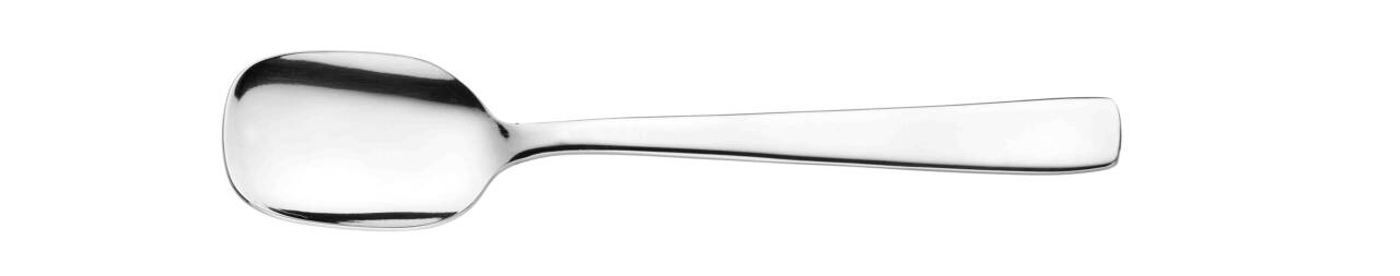 Pintinox Gamma Eislöffel 18/10 2 Stück
