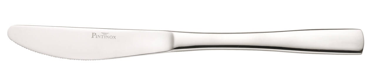 Pintinox Gamma Kaffeelöffel 18/10 6 Stück